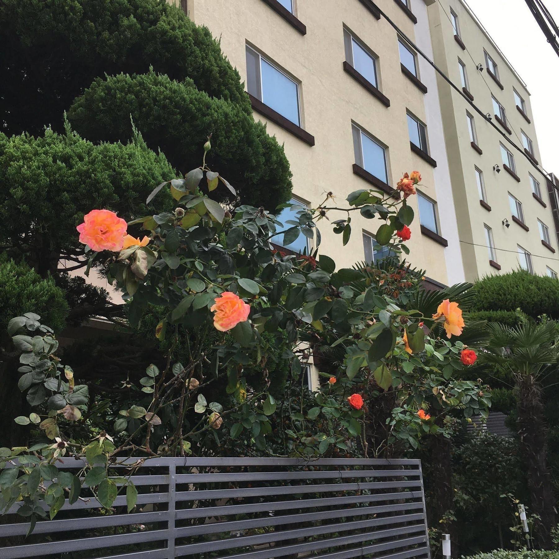 Goodstay Charmant Hotel Mokpo Exterior photo